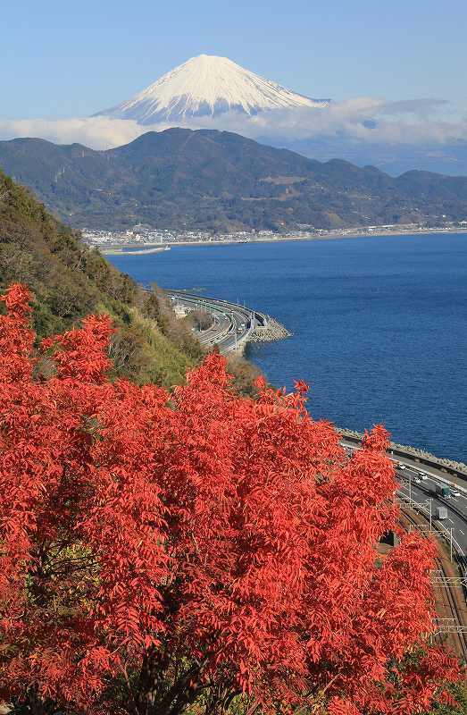 富士山画像記録