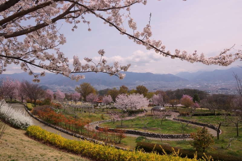 富士山周辺風景