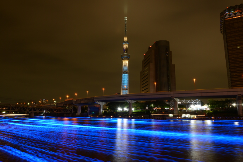 風景一般