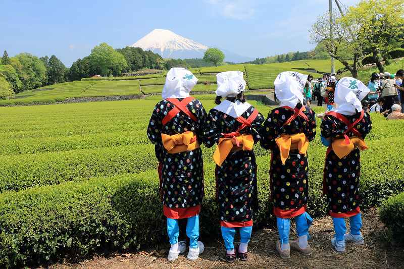 富士山画像記録