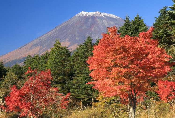 富士山画像記録