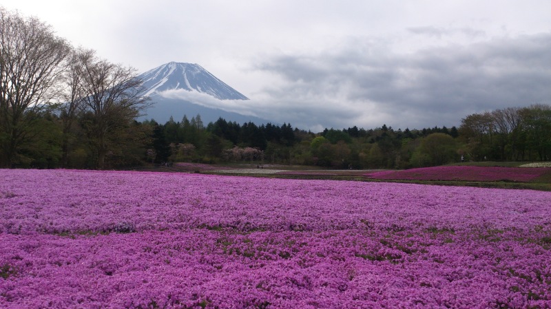 富士山周辺風景