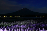 xmR摜L^