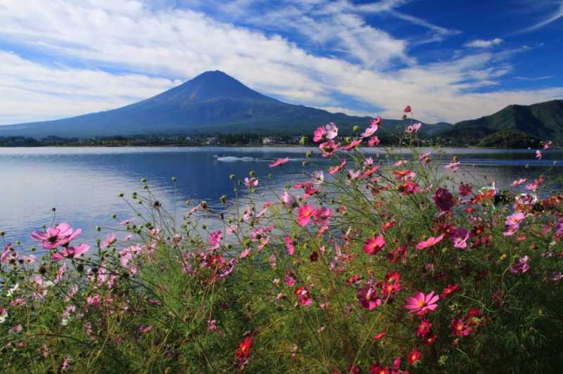 富士山画像記録