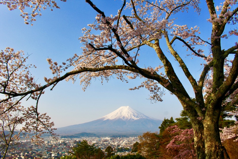 富士山画像作品