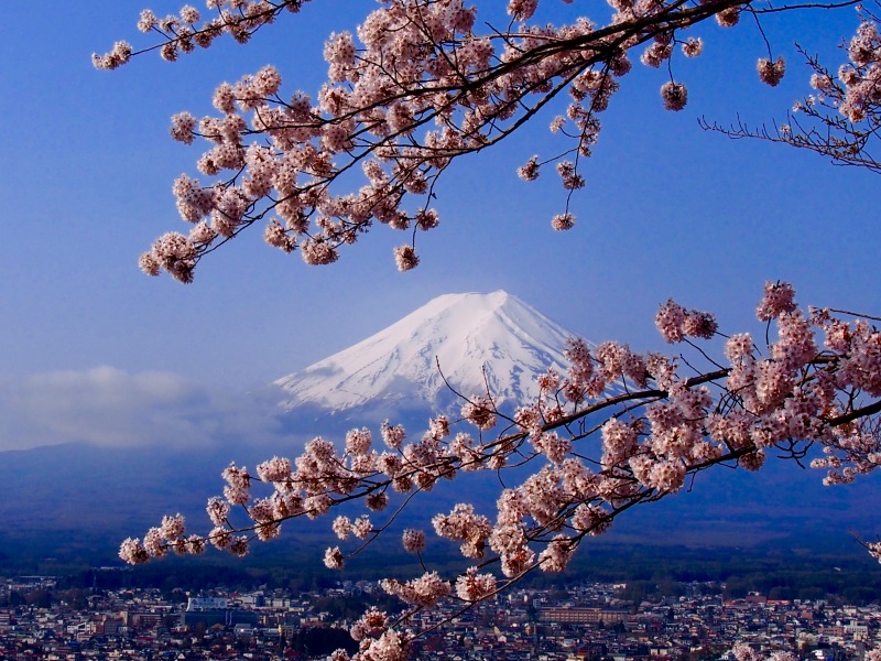 富士山画像作品