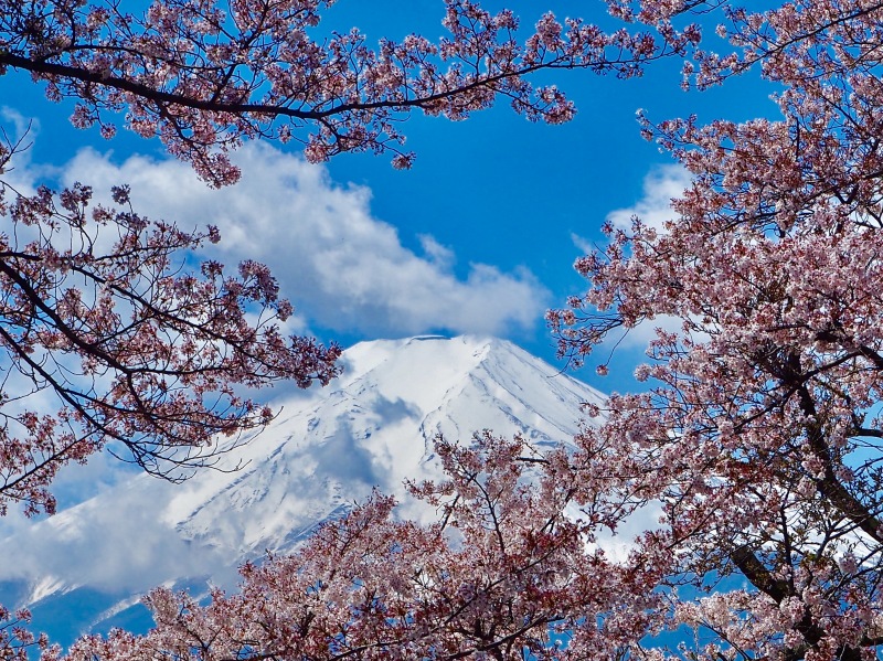 富士山画像作品