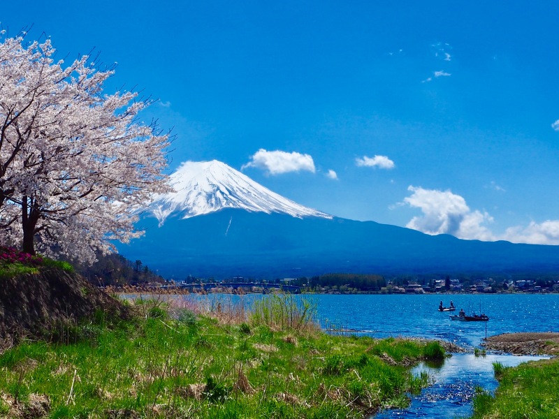 富士山画像作品