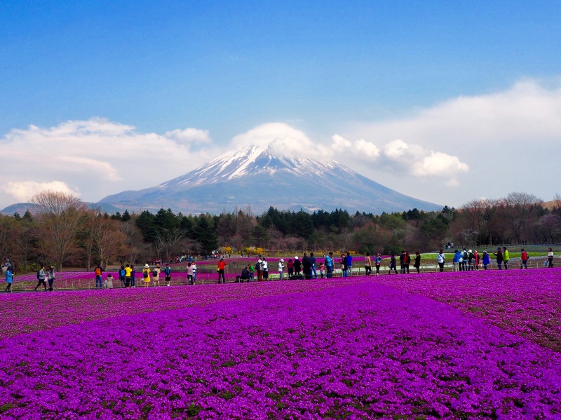 富士山画像記録