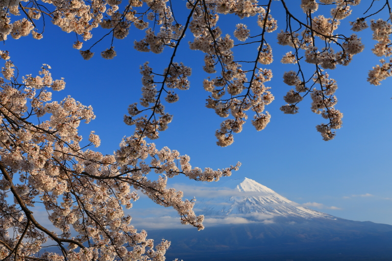 富士山画像作品