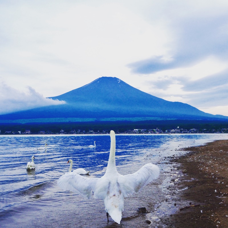 富士山画像記録