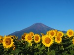 富士山画像作品