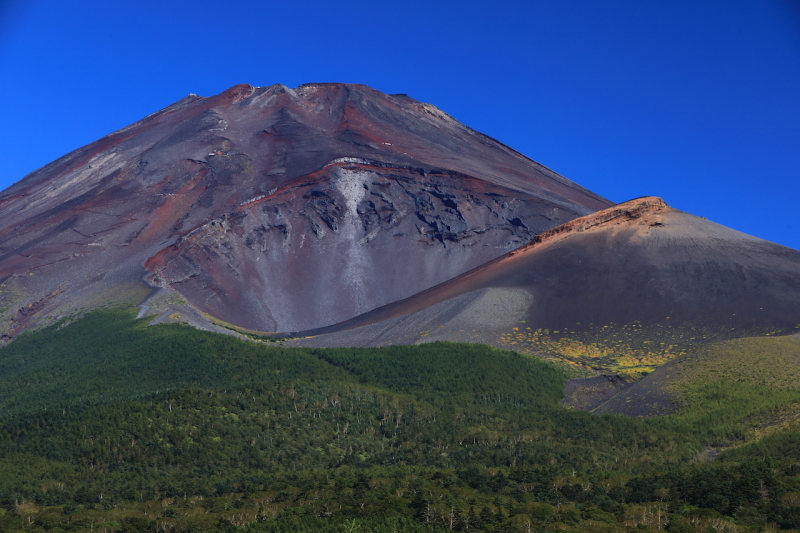 富士山画像作品