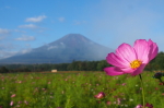 富士山画像作品