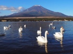 富士山画像記録