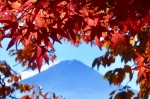 富士山画像作品