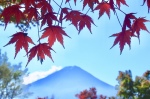 富士山画像記録