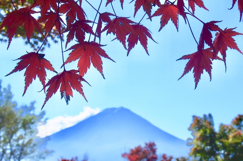 富士山画像記録