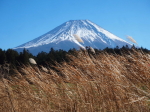 富士山画像記録