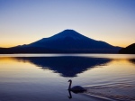 富士山画像記録