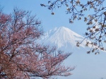 富士山画像記録