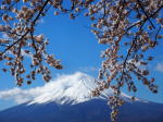 富士山画像記録