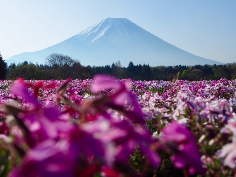 富士山画像記録