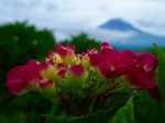 富士山画像記録