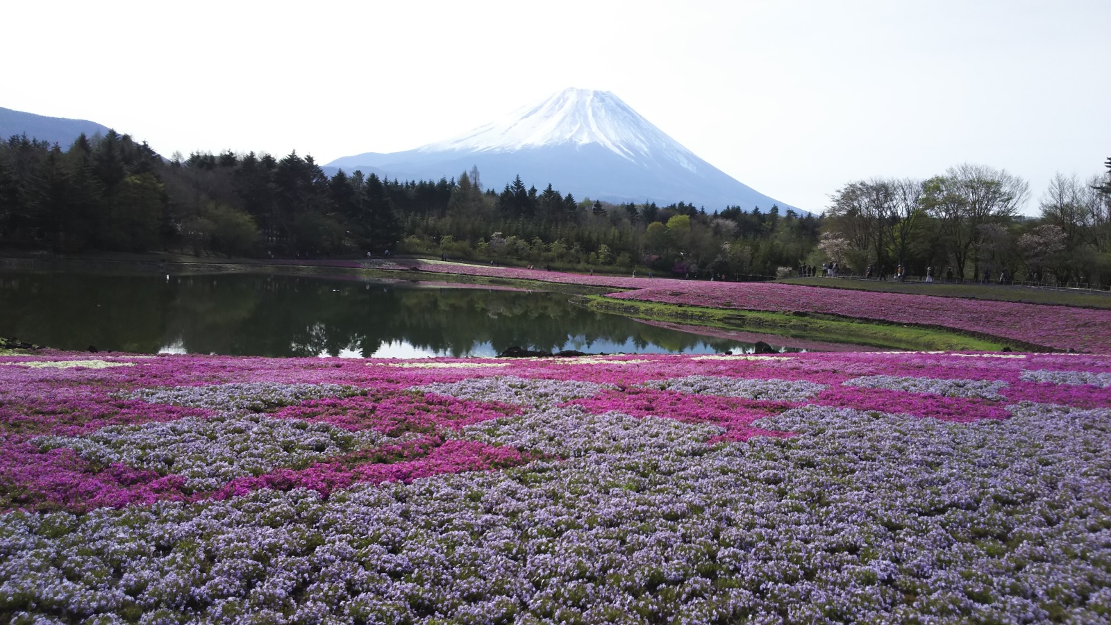 風景一般