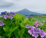 富士山画像記録