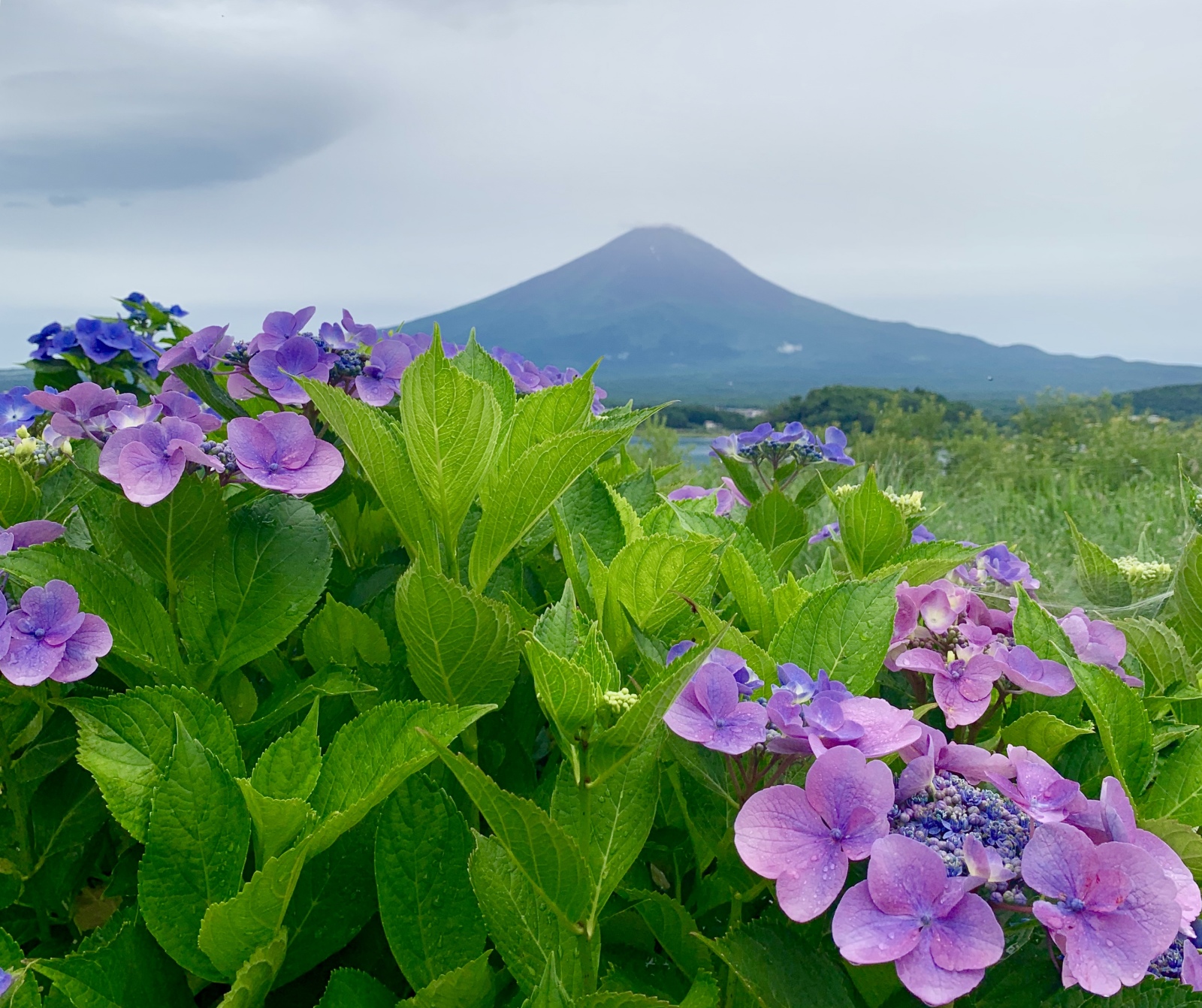 富士山画像記録