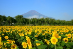 山一般