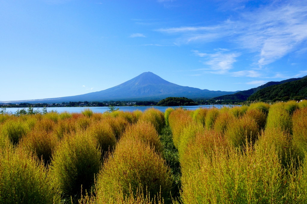 富士山画像記録