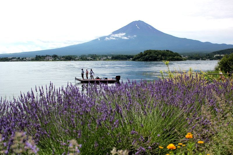 富士山画像記録