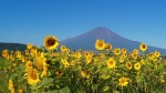 富士山周辺風景