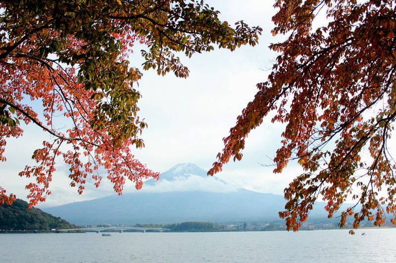富士山画像記録