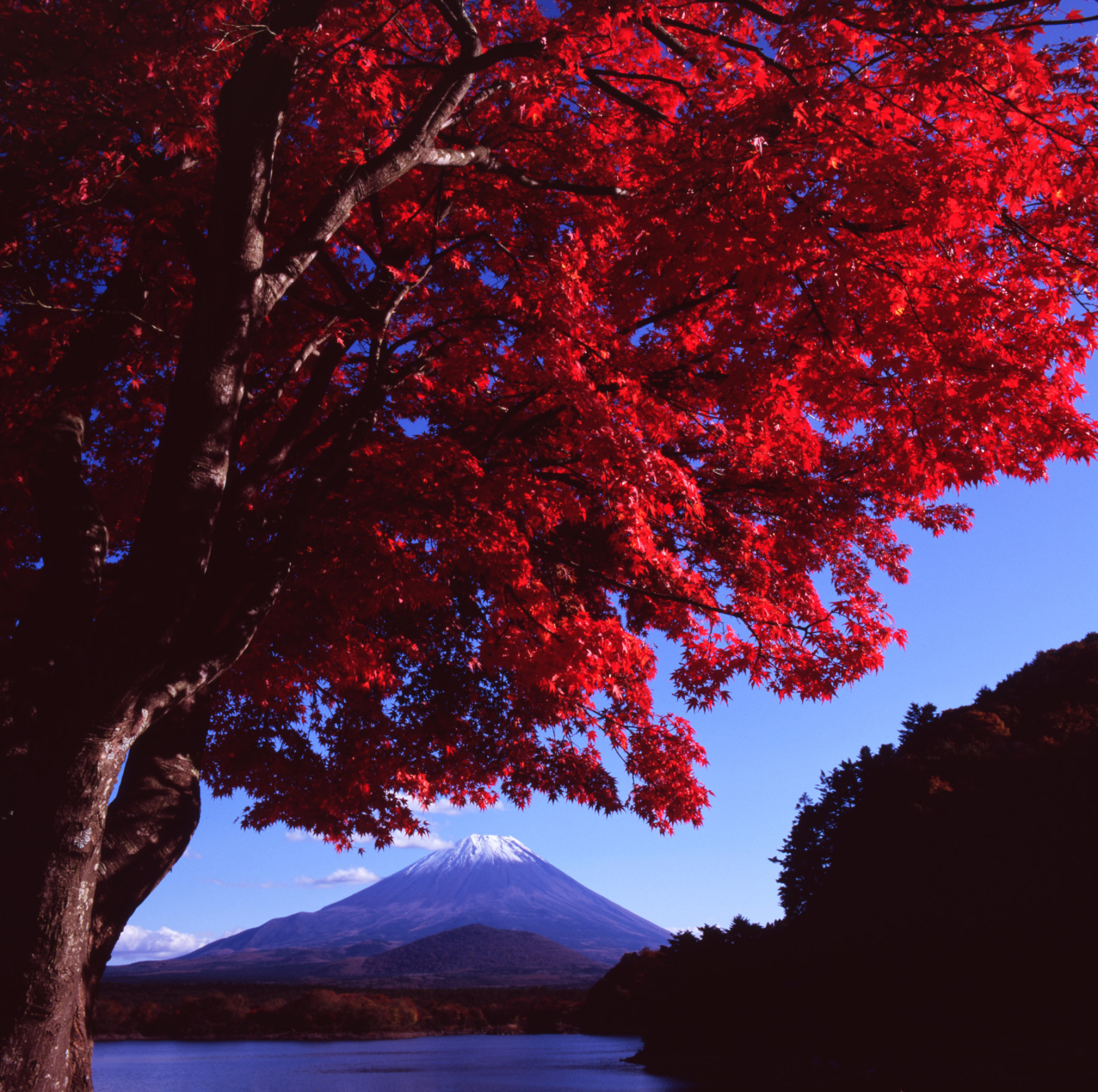 富士山画像記録