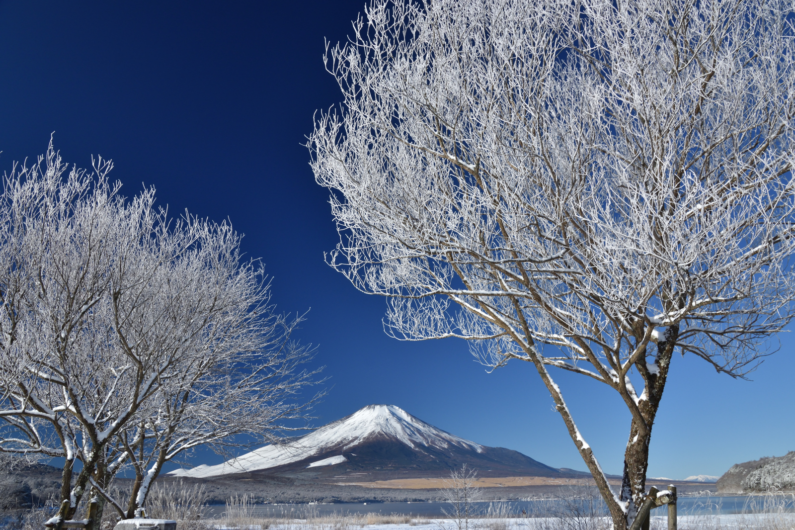 富士山画像作品