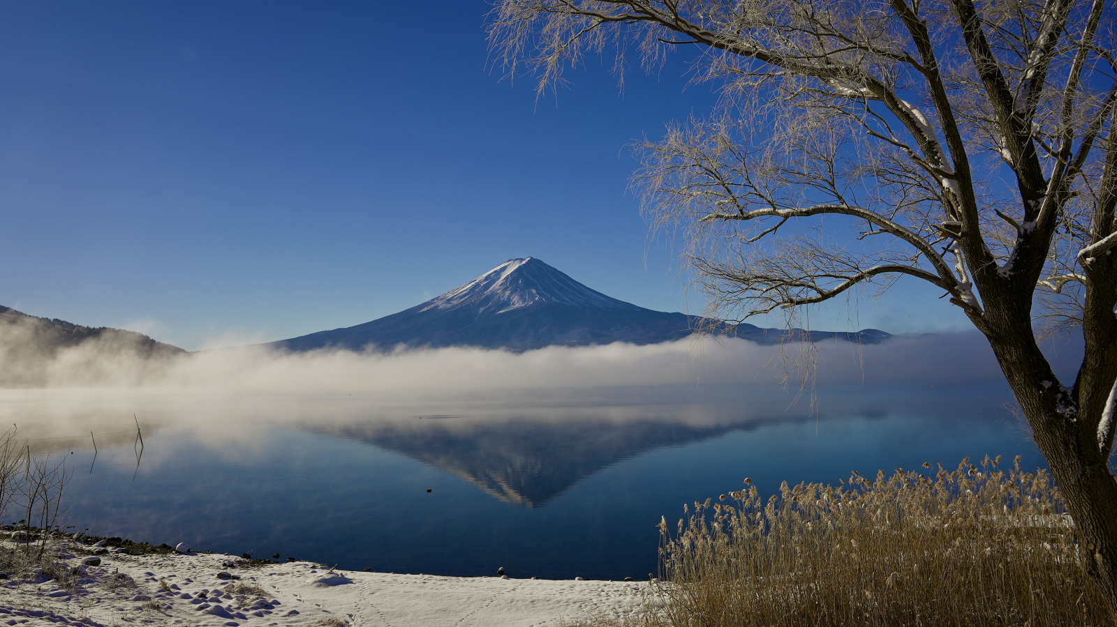 富士山画像記録