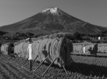 富士山画像作品