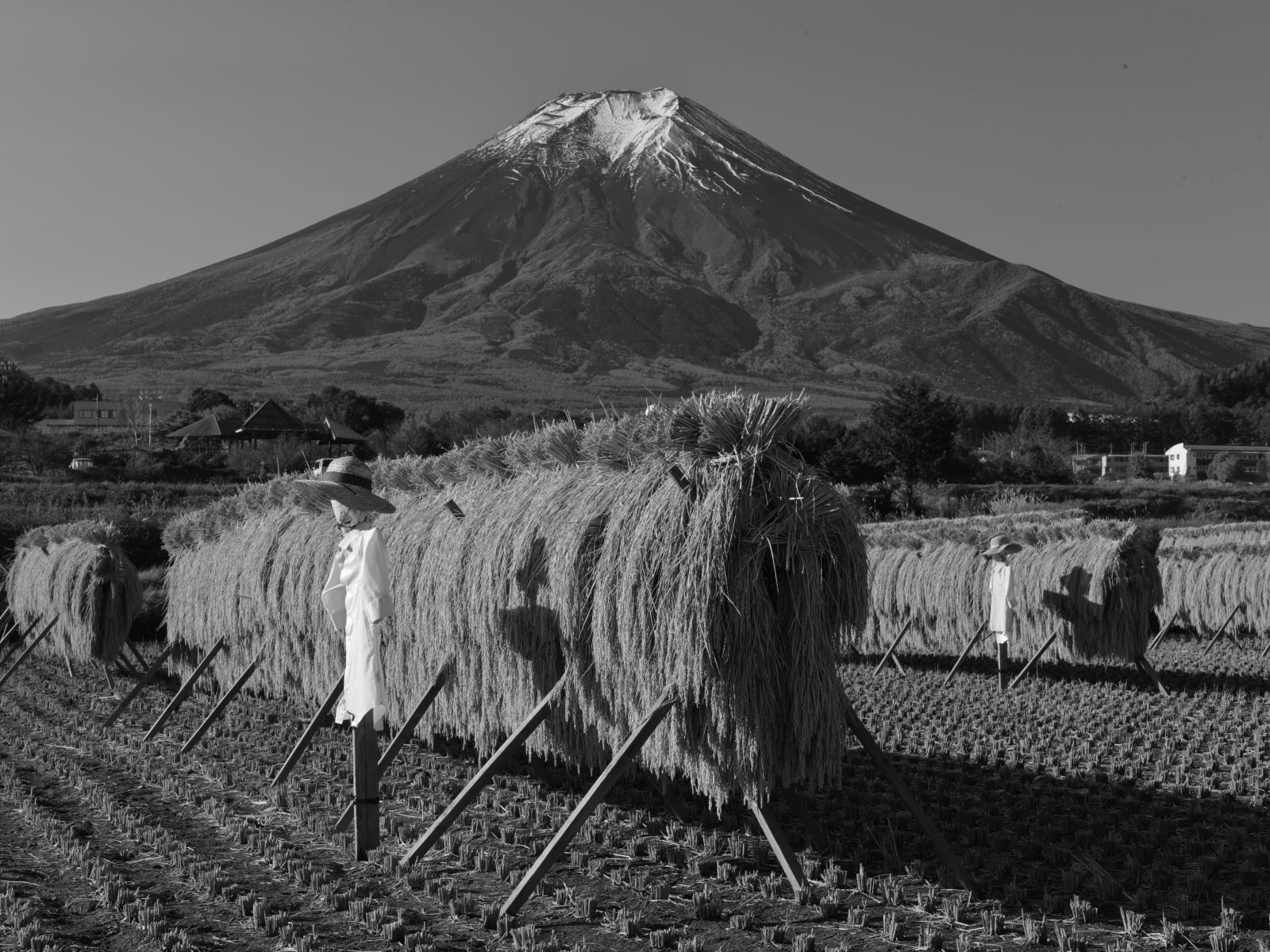 富士山画像作品