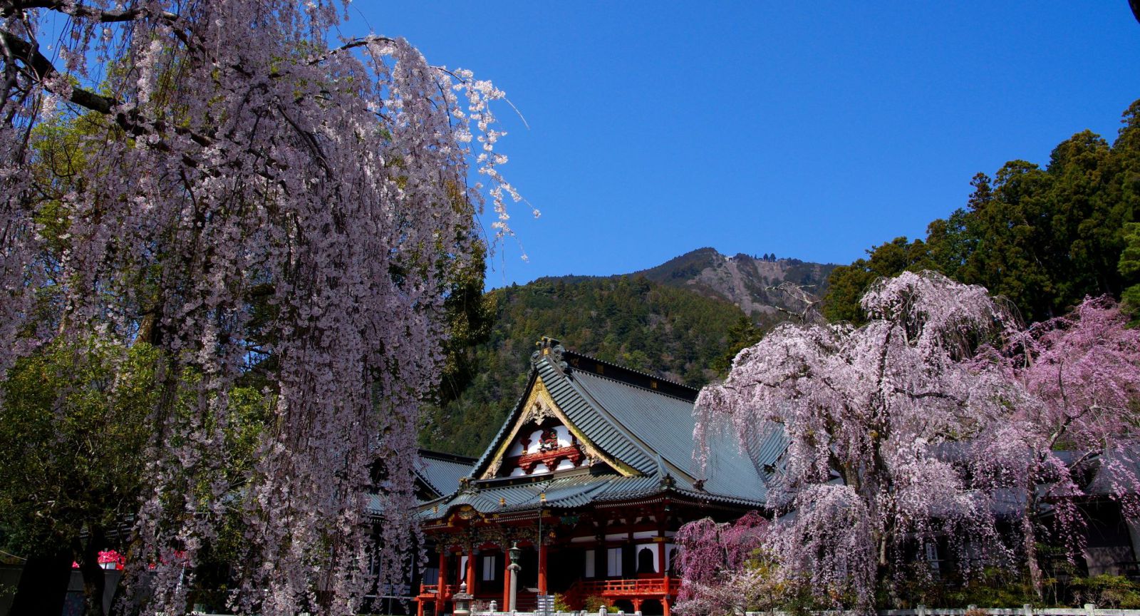 富士山周辺風景