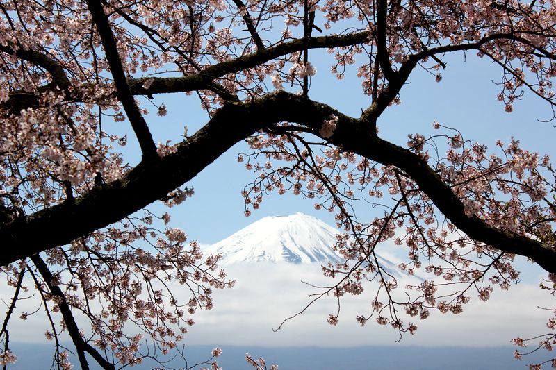 富士山画像記録