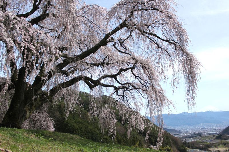 富士山画像記録