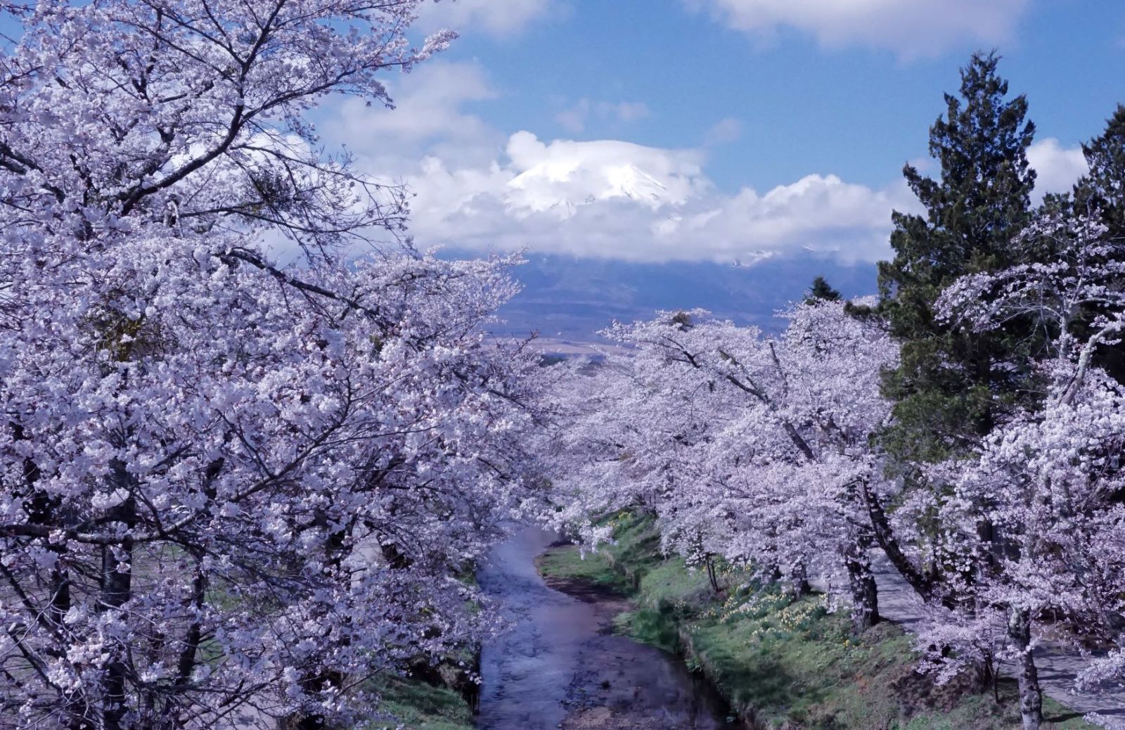 富士山画像記録