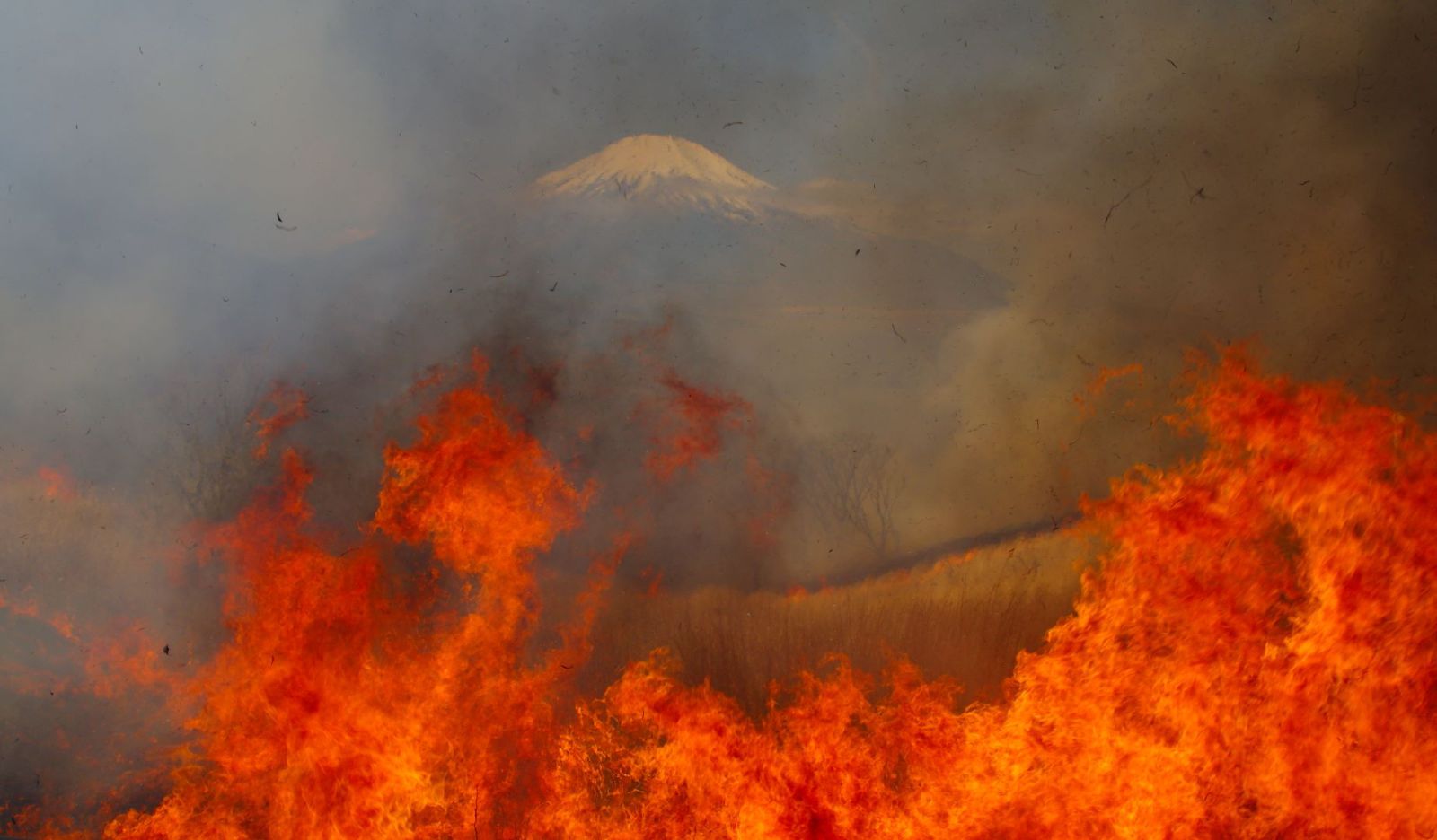 富士山画像記録