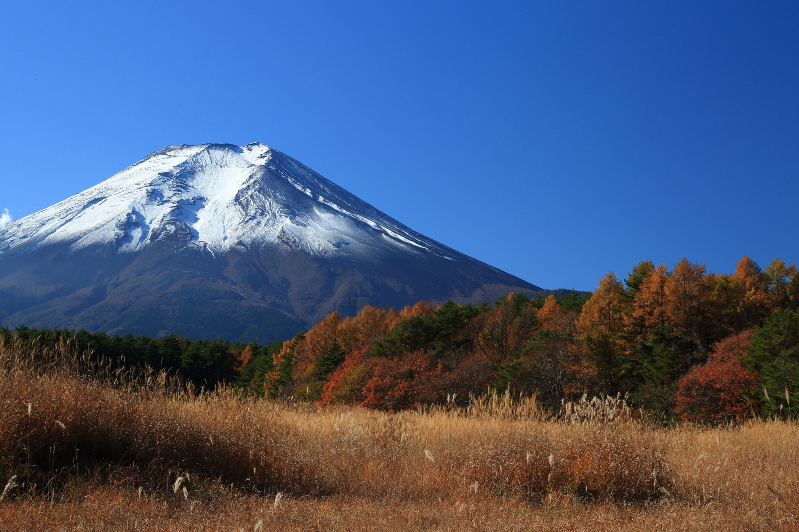 富士山画像作品