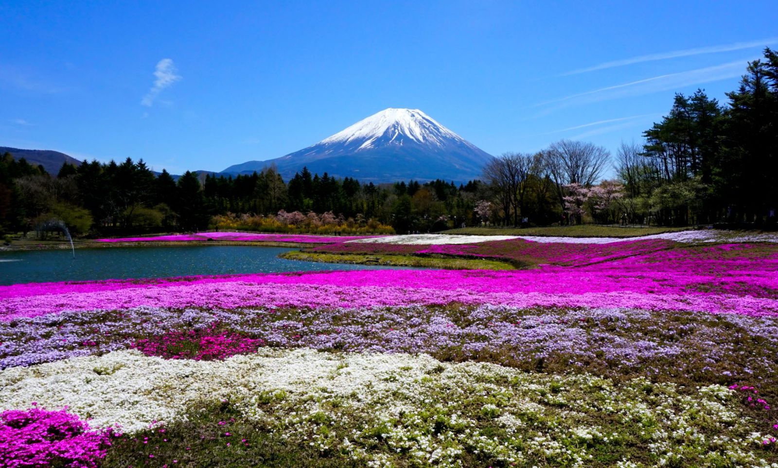 富士山画像記録