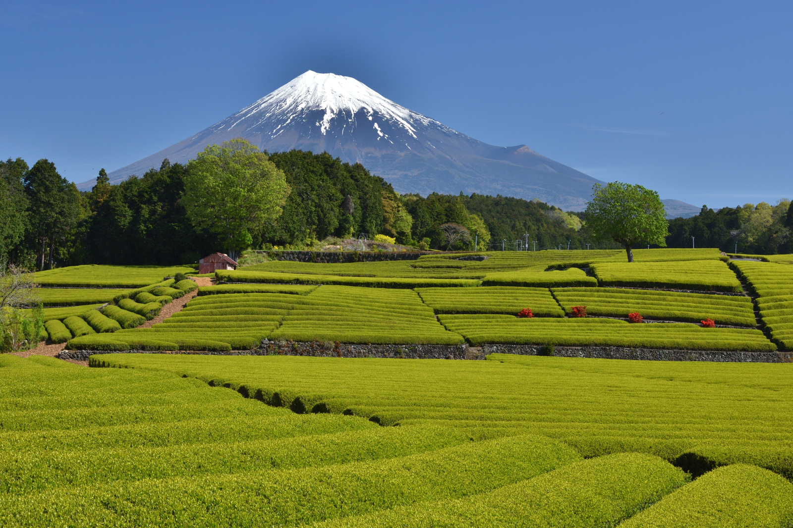 富士山画像作品