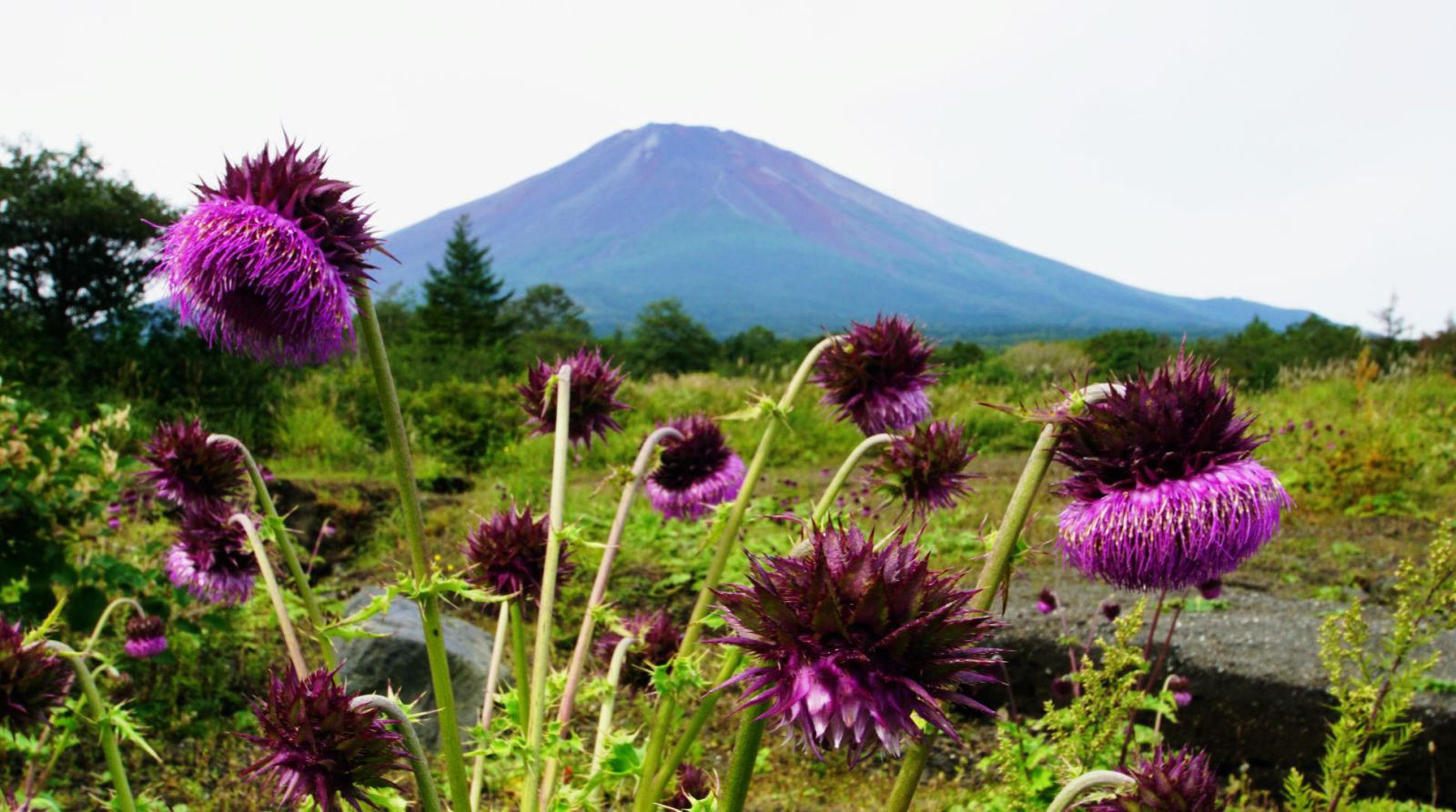 富士山画像記録